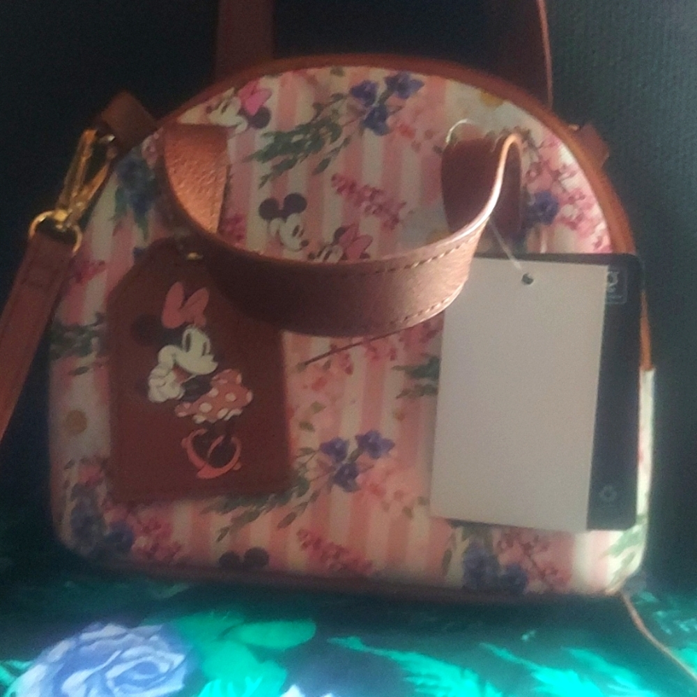 Mini mouse purse